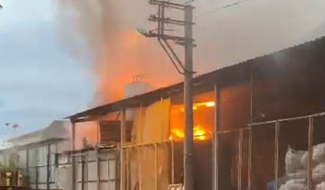 Kereste deposundaki yangın büyümeden söndürüldü