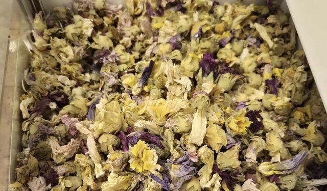 Kışın favorisi: Zencefil, propolisli macun, kara mürver ve karadut pekmezleri