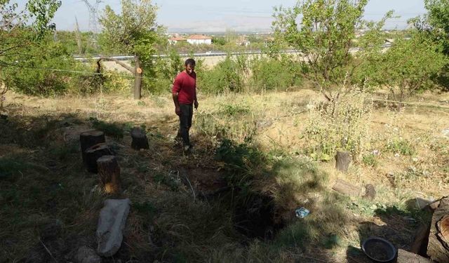 Malatya’da kayısı bahçesinde obruk oluştu