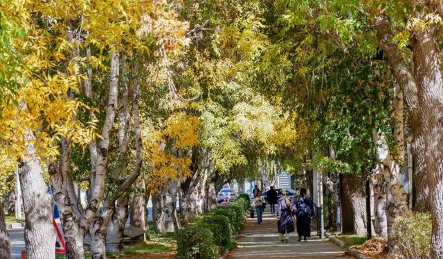 Meteoroloji uyardı: Kuvvetli rüzgar ve kar yağışına dikkat