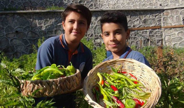 Minik eller, turşuyla büyük işlere imza atıyor