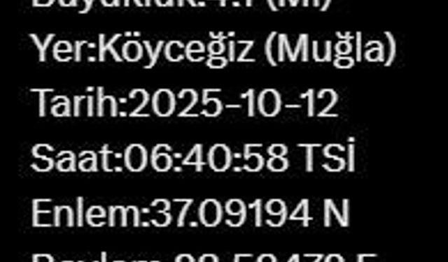 Muğla’da 4.1 büyüklüğünde deprem