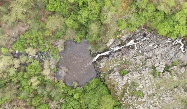 Ormanın içerisindeki şelale görenleri mest ediyor