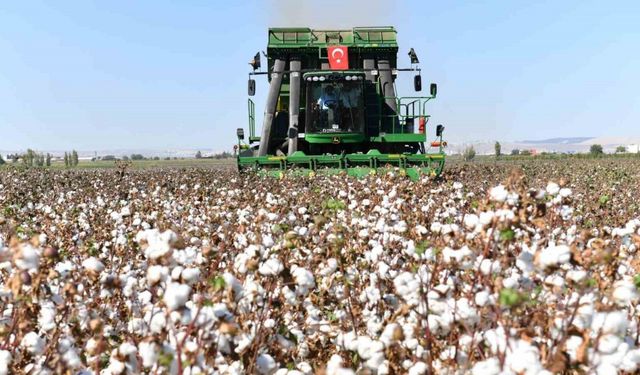 Şanlıurfa’da pamuk koruma altında