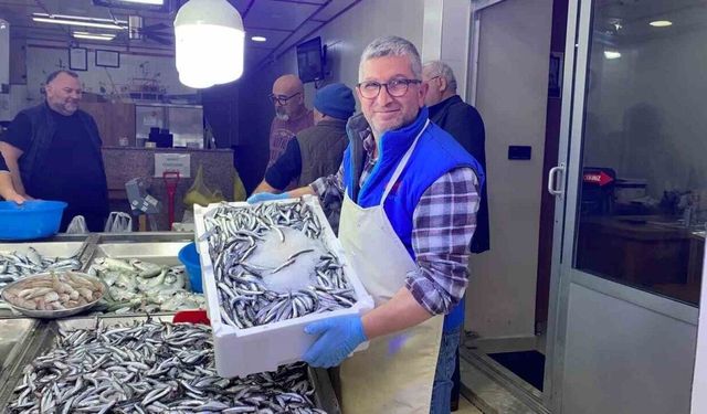 Sinop’ta hamsi fiyatları yarıya düştü