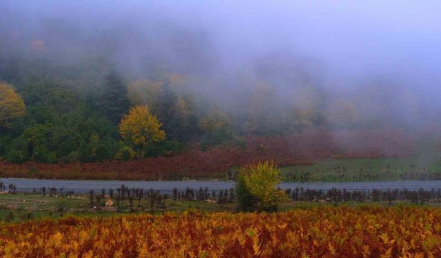 Sisler içindeki vadinin kalbinde doğa yürüyüşü