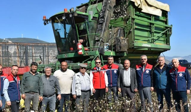 Söke Ovası’nda pamuk hasadı sürüyor