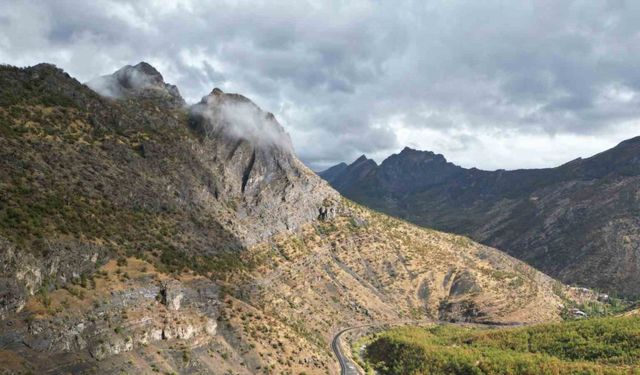 Sonbaharda meşe ormanları kartpostallık görüntüler oluşturdu