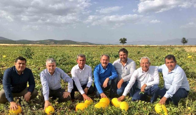 Tezgahlarda 10 liraya satılan Acıpayam kavunu tescillendi