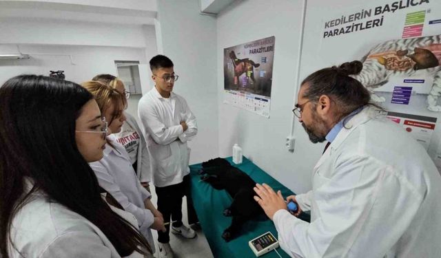 Türkiye’de bir ilk: Meslek yüksekokulunda veteriner sağlık eğitimi simülatörlerle veriliyor