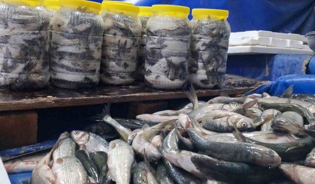 Van’da havaların soğumasıyla inci kefaline ilgi arttı