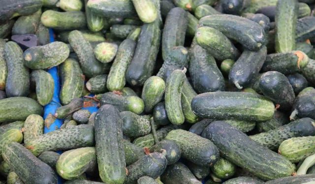 Vatandaş pahalı bulsa da almaktan vazgeçemiyor