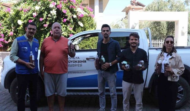 Yangınların ardından yeşil mücadele: Marmaris’ten Antalya’ya tohum desteği