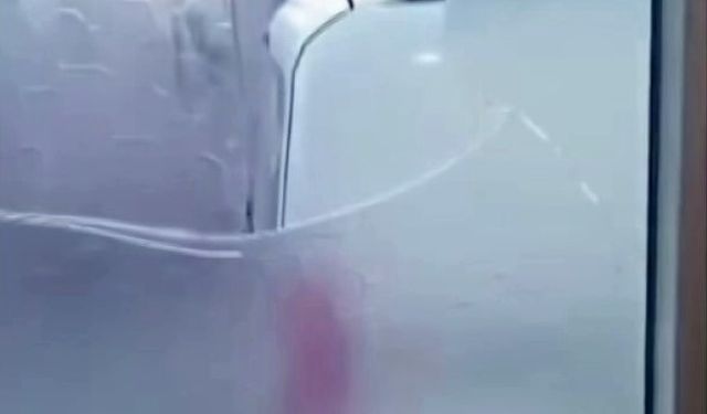 Yaşlı çift komşularının kabusu oldu