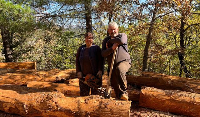 Mersinli karı-koca 35 yıldır  ormanlarda damgalanan ağaçları kesiyorlar