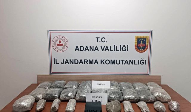 Adana’da 11 kilo skunk ele geçirildi