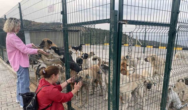 Alaşehir’de 30 dönümlük doğal yaşam alanı açıldı