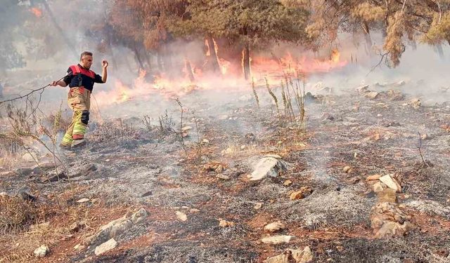 Antakya’da orman yangını