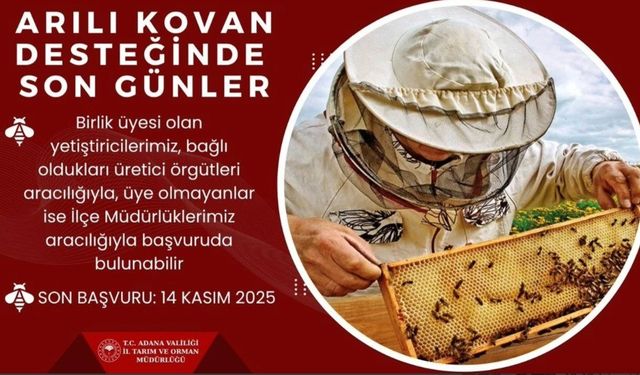 ’Arılı kovan’ desteği için son gün