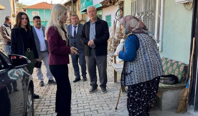 Bayan Kaymakam köy köy dolaşıyor