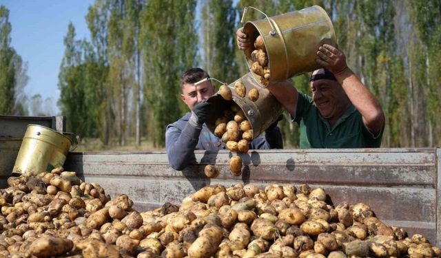 Bayburt’ta patates hasadı yüz güldürdü