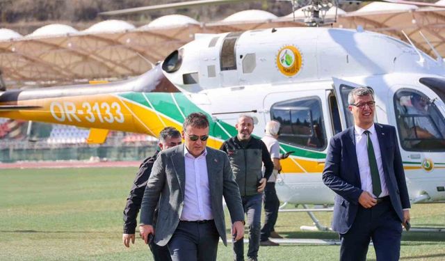 Bilecik’te yanan ormanlar yeniden hayat buluyor