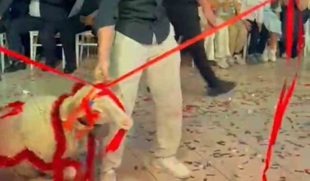 Damada verilen hediyeye herkes şaştı kaldı