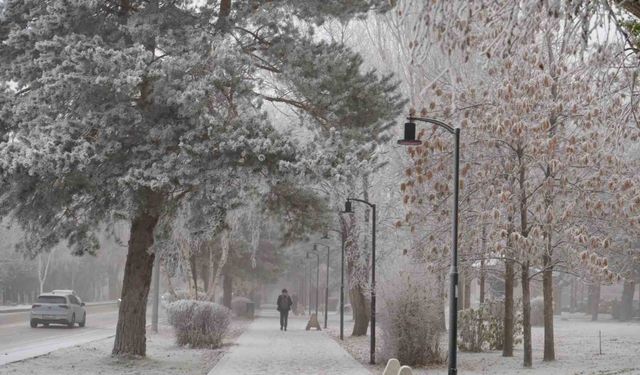 Erzurum güne sis ve kırağı ile uyandı