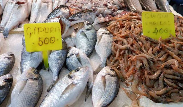 Foça Balık Hali’nde kış sezonu:"Sardalya ve uskumru zamanı"