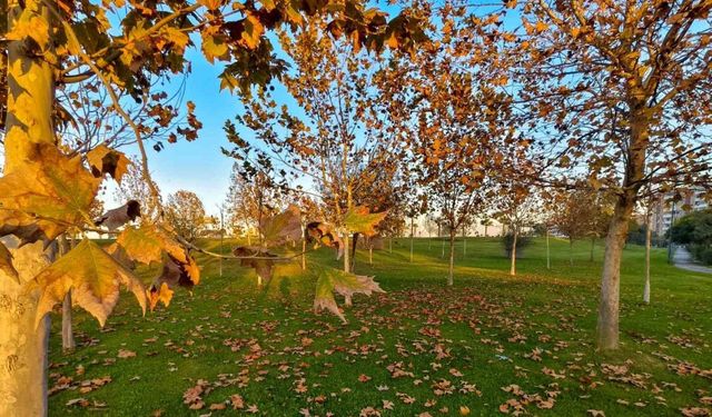 Güzelyurt sonbahar renklerine büründü
