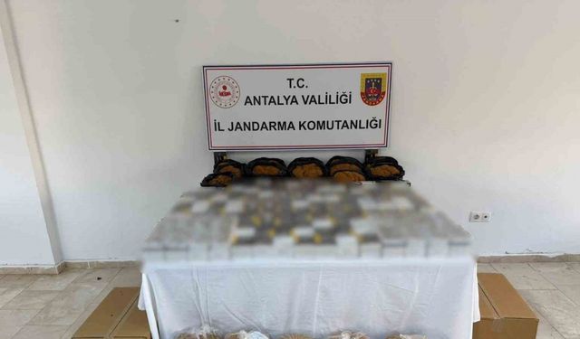 Kaçak tütün operasyonu