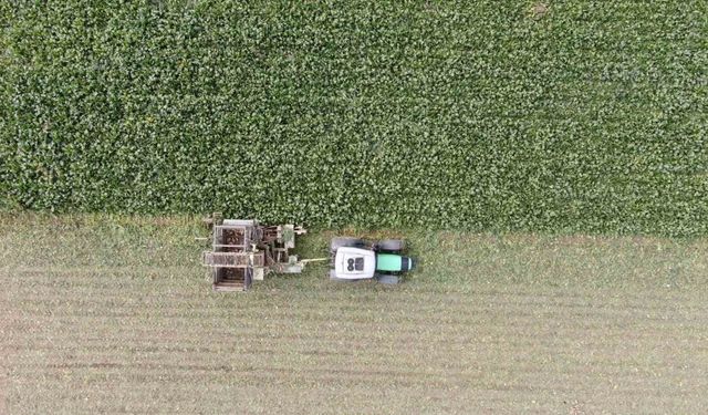 Kastamonu’da çiftçilerin zorlu pancar mesaisi devam ediyor