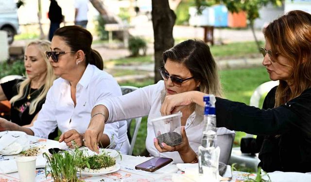 Mikro yeşilliklerle minyatür bahçeler oluşturdular