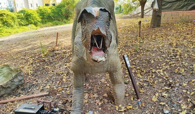 Milyonlarca lira harcanan Dinazor Park çürümeye terk edildi