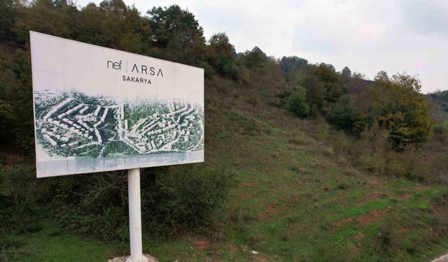 Ormana tabela asıp milyonlar topladılar