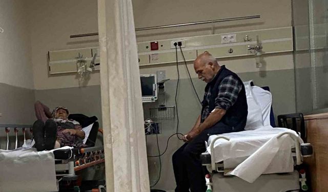 Ormandaki mantarları yiyen 7 kişi hastanelik oldu