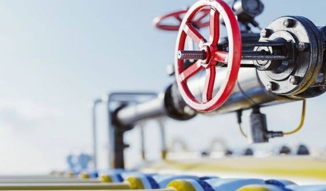 PALEN, kış ortasında dondurdu