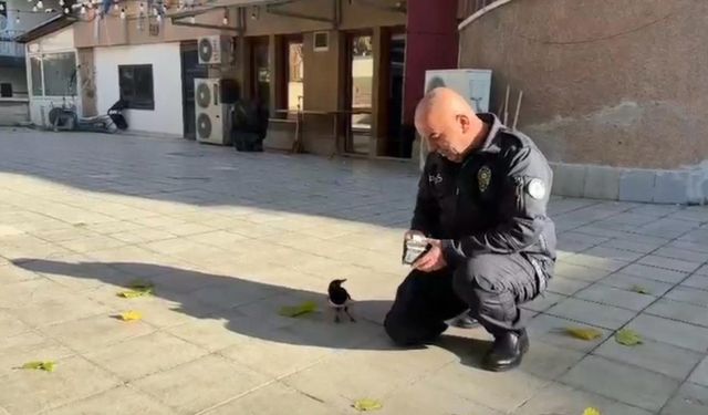 Polis memuru ile saka kuşunun dostluğu görenleri hayrete düşürdü