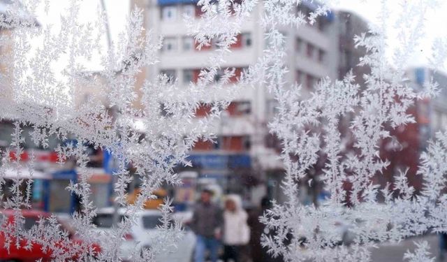 Termometreler Mersin'de 22,7'i, Ardahan'da -13,4'ü gösterdi