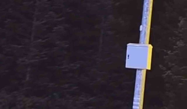 Uludağ’da kış uykusuna yatmayan ayılar, çöp konteynerlerini talan etti