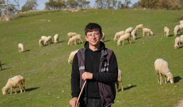 Üniversiteyi okudu, baba ocağına dönüp sürü sahibi oldu