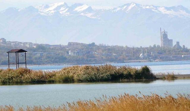 Van Gölü Havzası, Türkiye’nin en fazla sulak alanına ev sahipliği yapıyor
