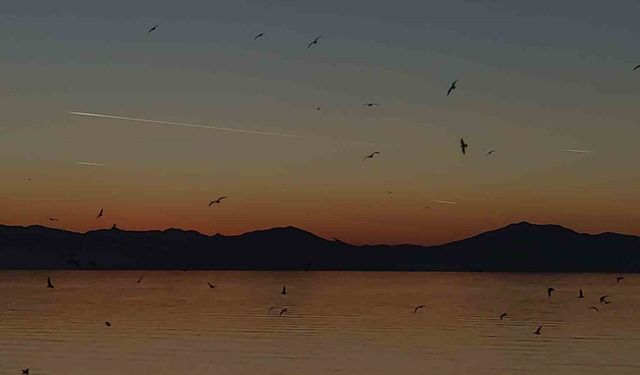 Van semalarında kartpostallık akşam: Uçaklar, kuşlar ve kızıl günbatımı büyüledi
