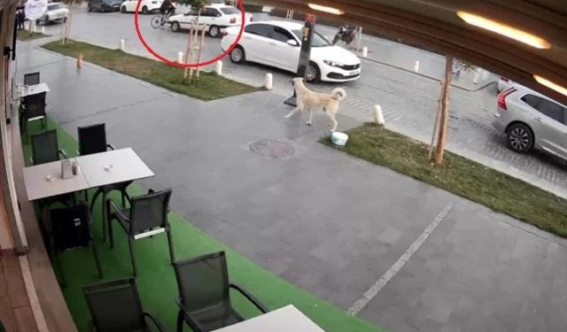 Yolun karşısına geçmek isteyen bisikletliye otomobil çarptı: 1 yaralı