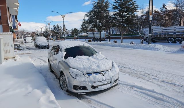 Ahlat'ta kar yağışı: 20 köy yolu ulaşıma kapandı