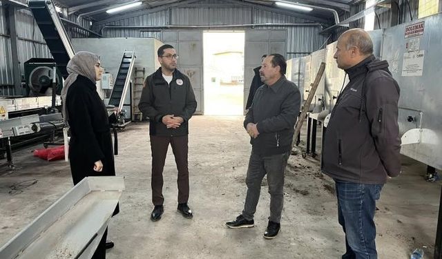 Ceviziyle öne çıkan Gölpazarı'nda üretim zinciri güçleniyor