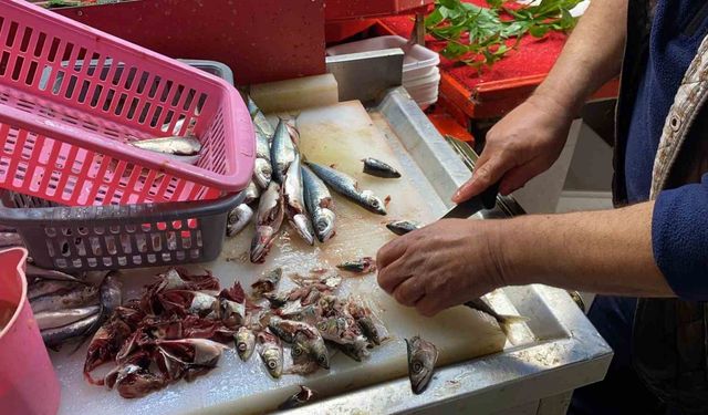 Doğru bilinen yanlışı uzmanı açıkladı: "Gözüne bakıp tazeliğini anlarım diyen yalan söyler"