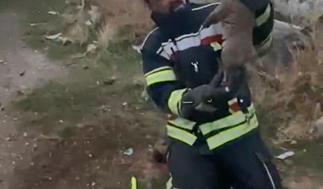 Elazığ'da yürek ısıtan kurtarma operasyonu