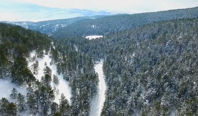 Erzincan’ın doğa harikası Dumanlı beyaza büründü