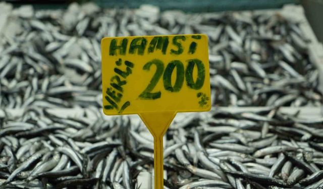 Hamside bolluk azaldı, fiyatı 200 TL’ye çıktı